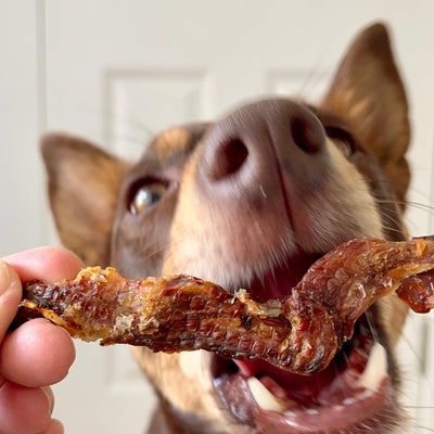 Crocodile Jerky Dog Treats – Aussie Hypoallergenic & Lean