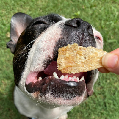 Fish Jerky Dog Treats – High‑Protein & Aussie Omega‑3 Chew