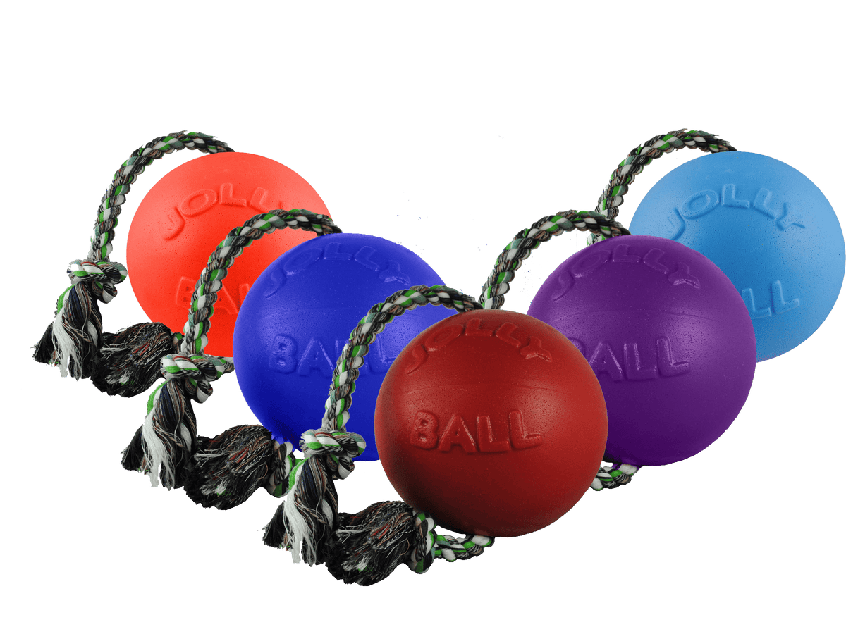 Romp-n-Roll-Rover Pet Products