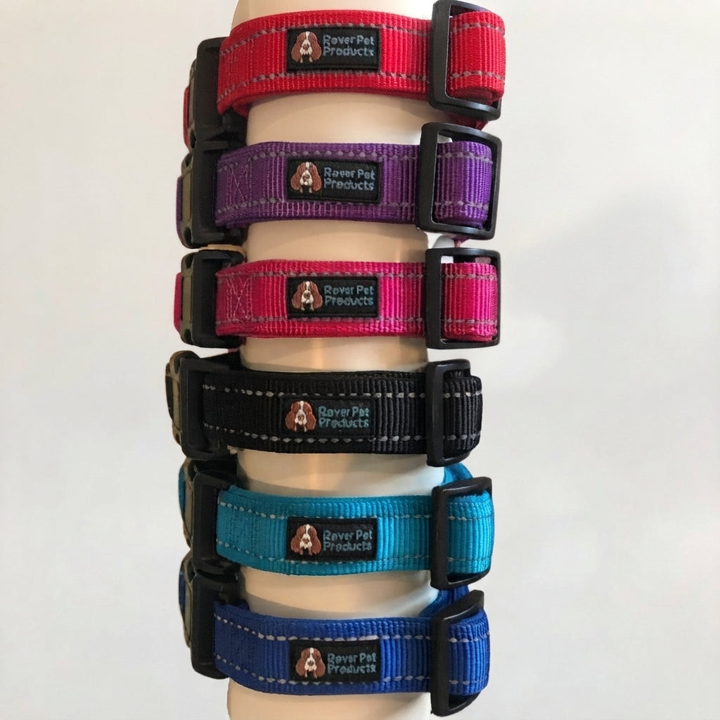 NEO RANGE - ID COLLAR ONLY (NO D RING)