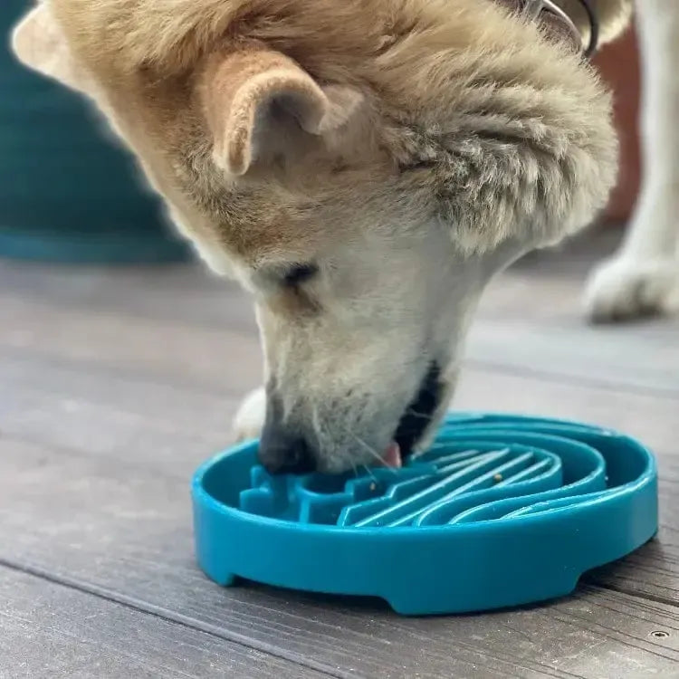 Baja Design eTray Enrichment Slow Feeder Tray for Dogs - Sea Foam-Slow Feeder-Rover Pet Products