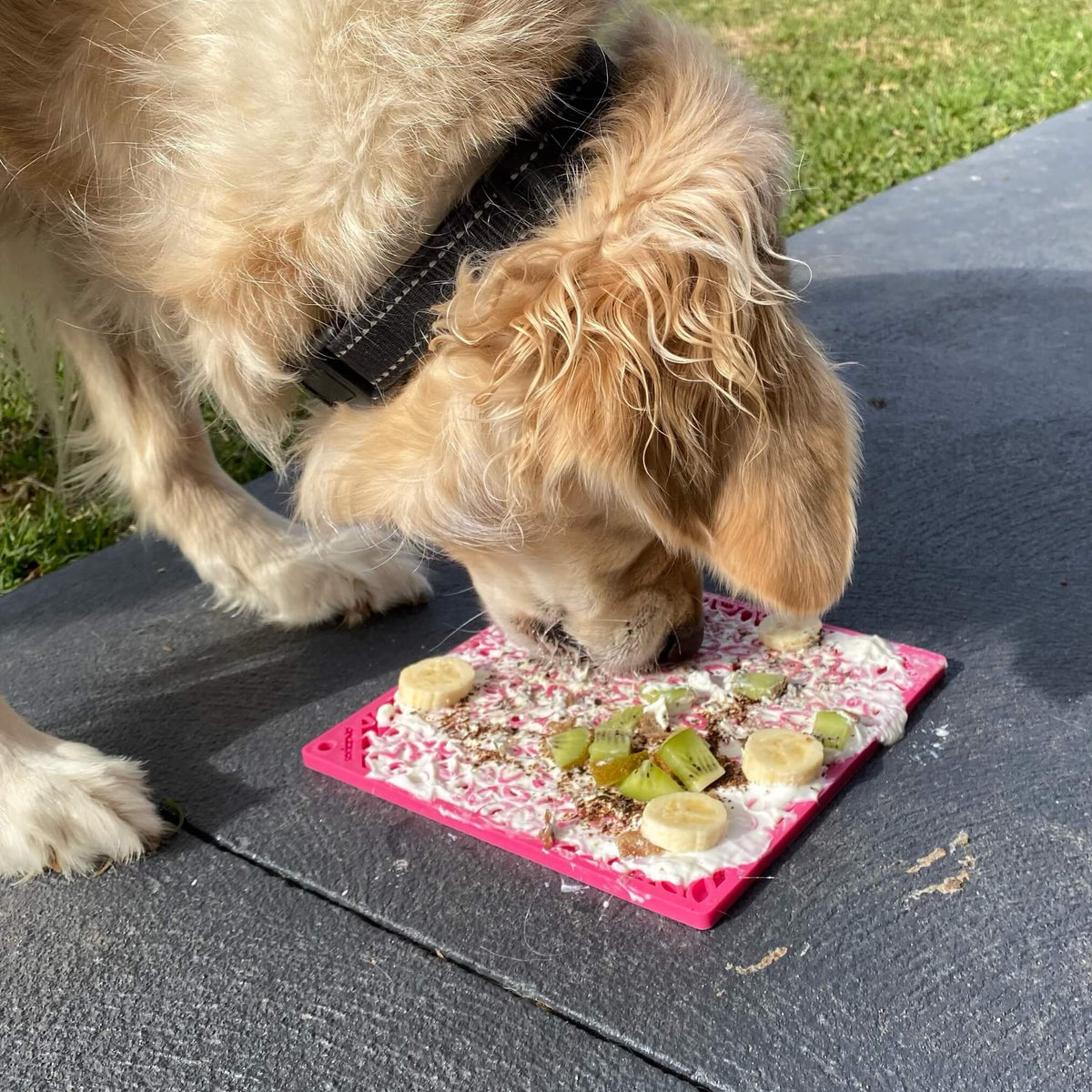 Flower Power eMat (Large) Enrichment Lick Mat-Slow Feeder-Rover Pet Products