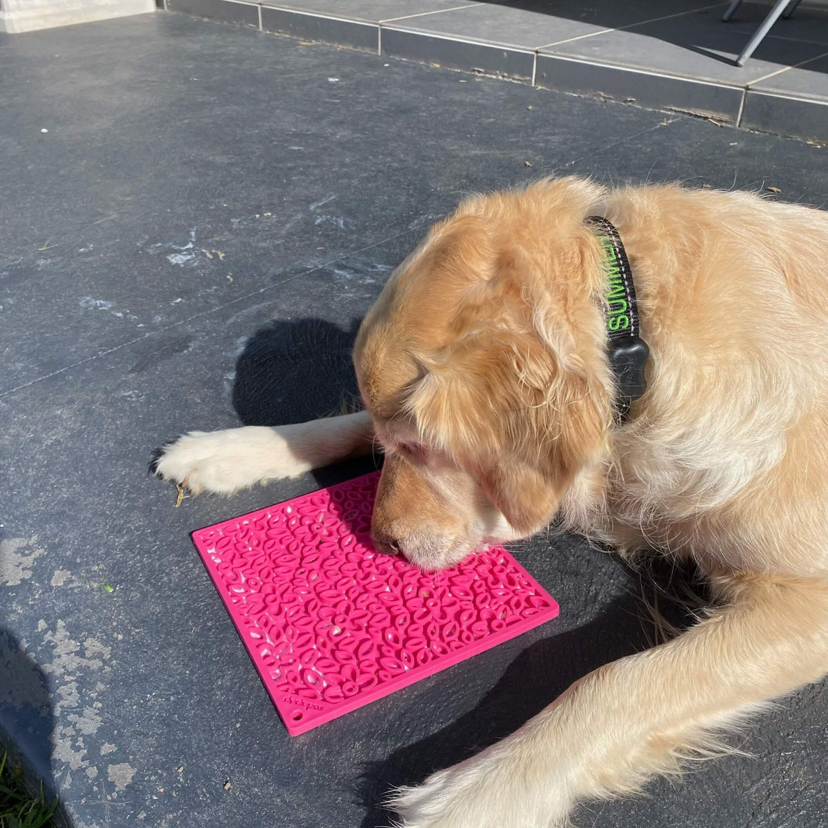 Flower Power eMat (Large) Enrichment Lick Mat-Slow Feeder-Rover Pet Products