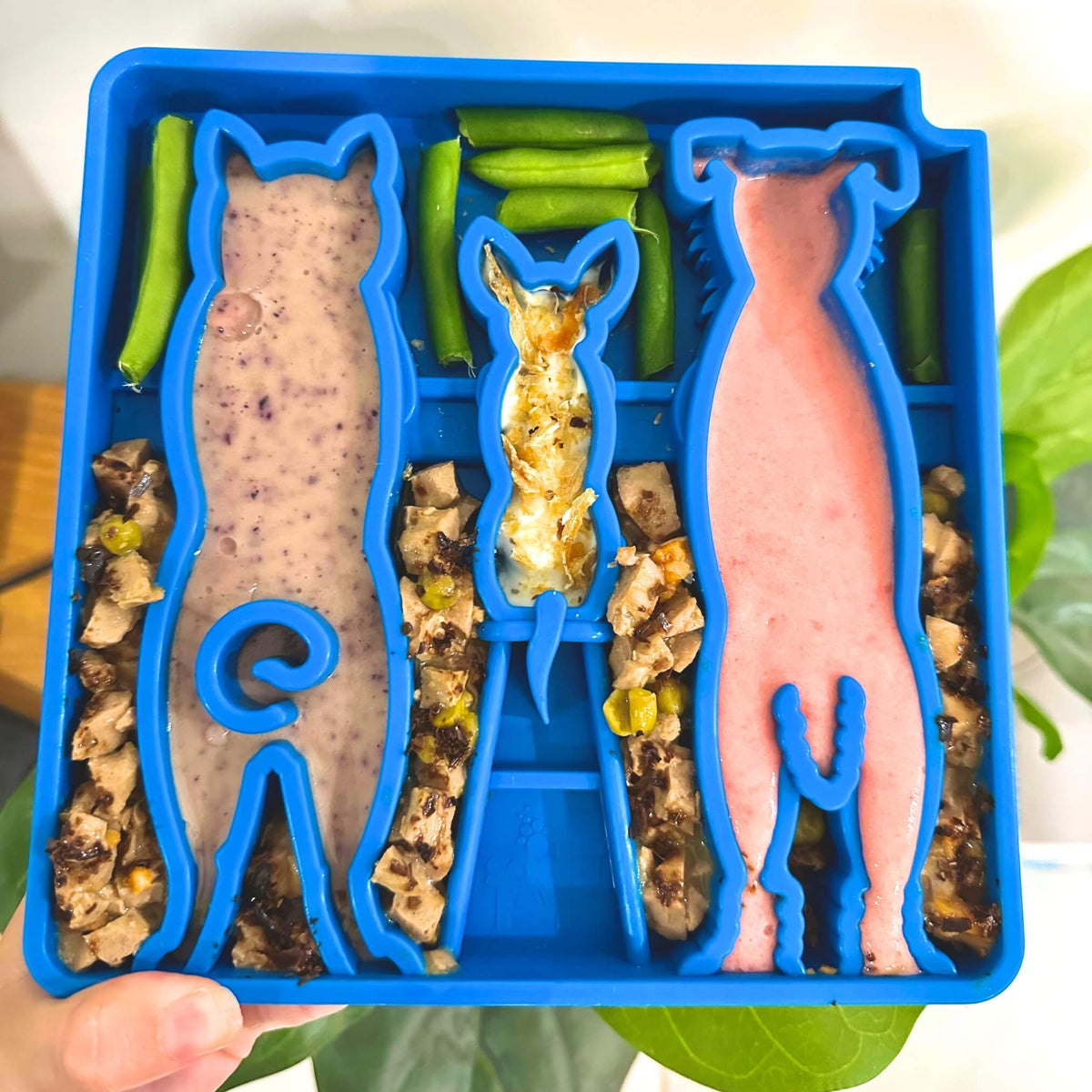 Waiting Slowfeeder eTray-Slow Feeder-Rover Pet Products