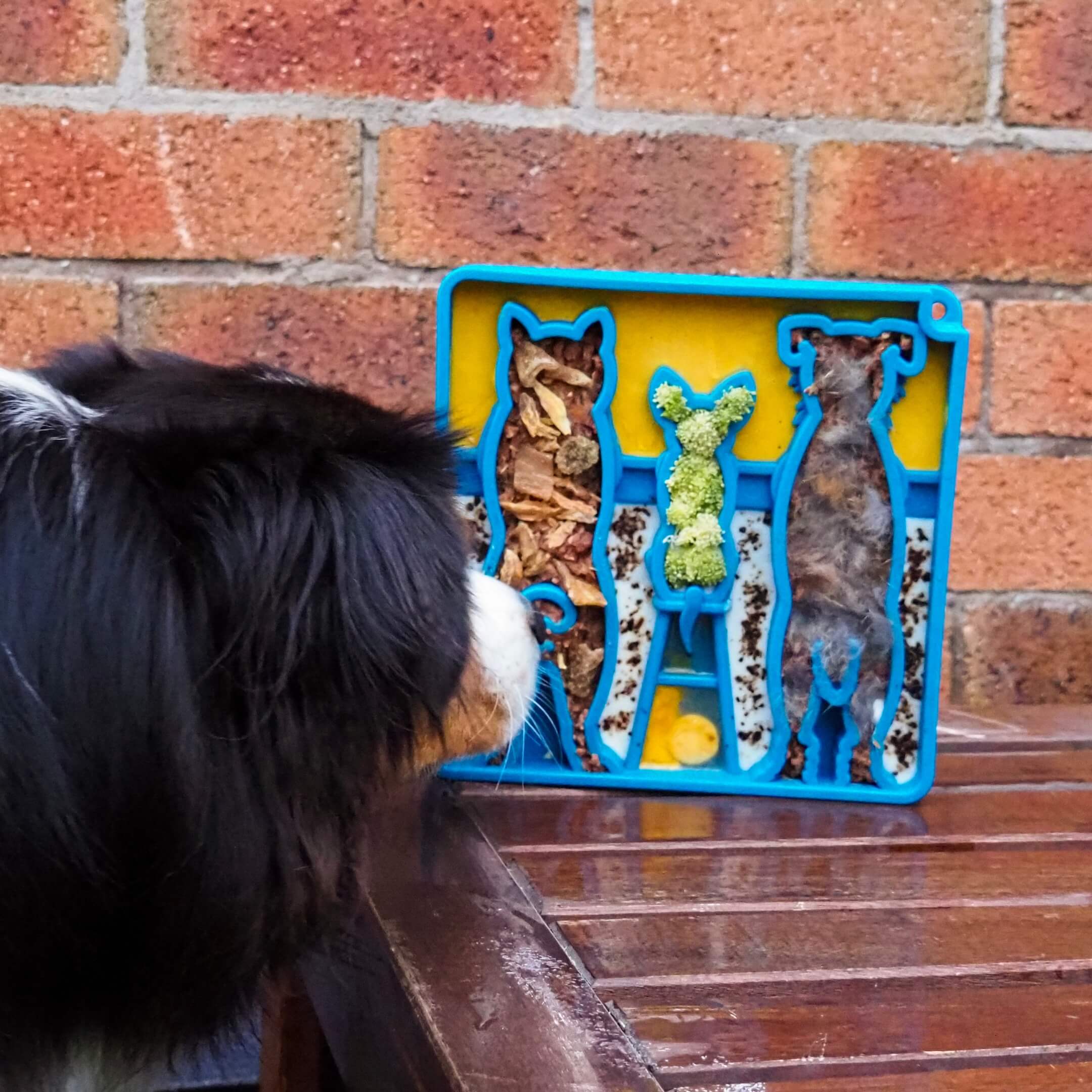 Waiting Slowfeeder eTray-Slow Feeder-Rover Pet Products