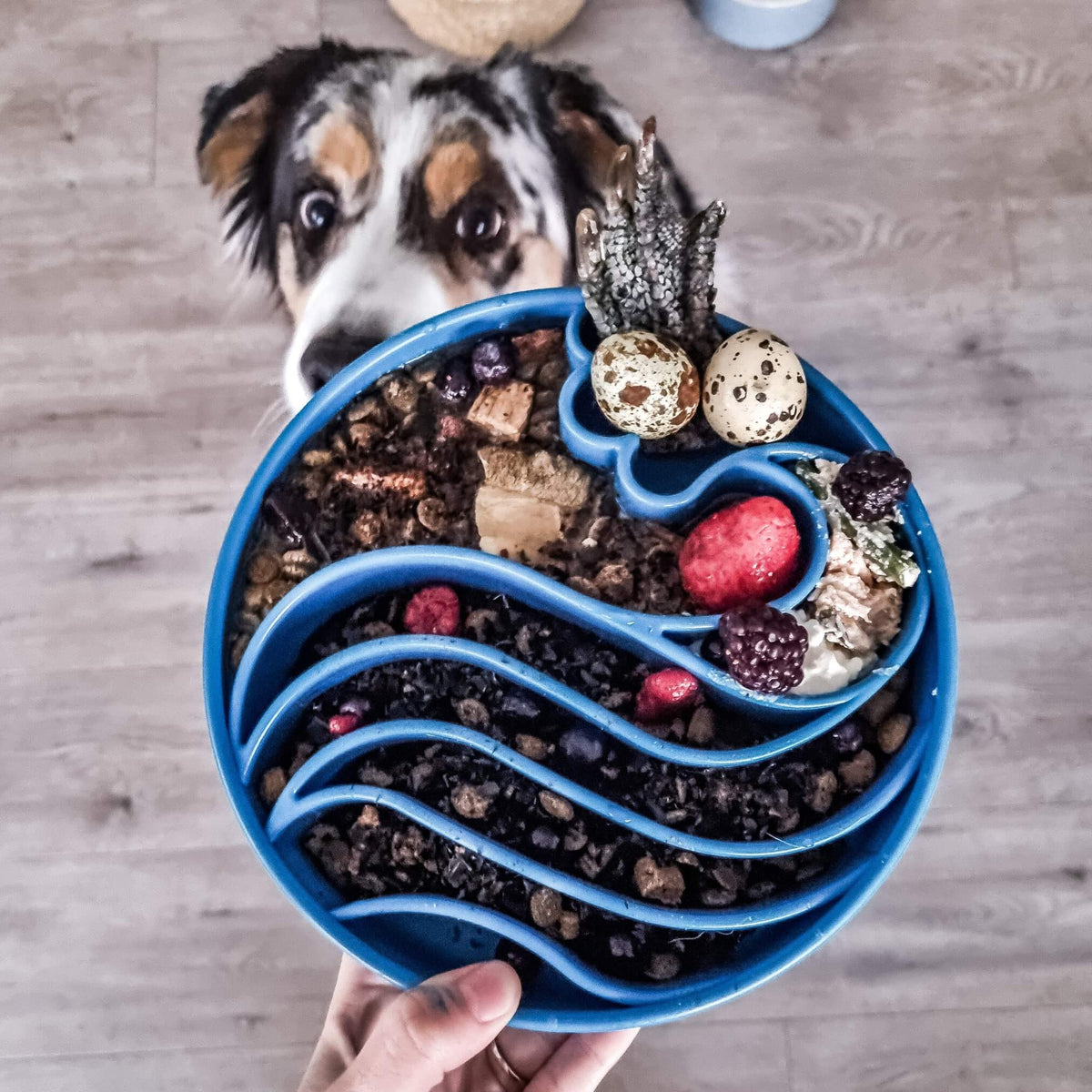 Wave eBowl Slow Feeder For Dogs-Slow Feeder-Rover Pet Products
