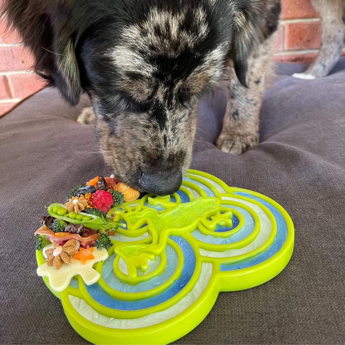 Bullfrog Slowfeeder eTray-Slow Feeder-Rover Pet Products