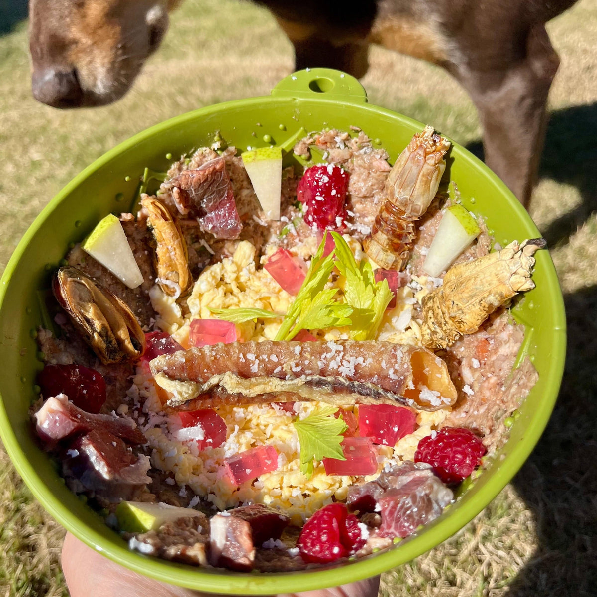 Garden of Eatin' Tipsy Bowl Lick Mat-Slow Feeder-Rover Pet Products
