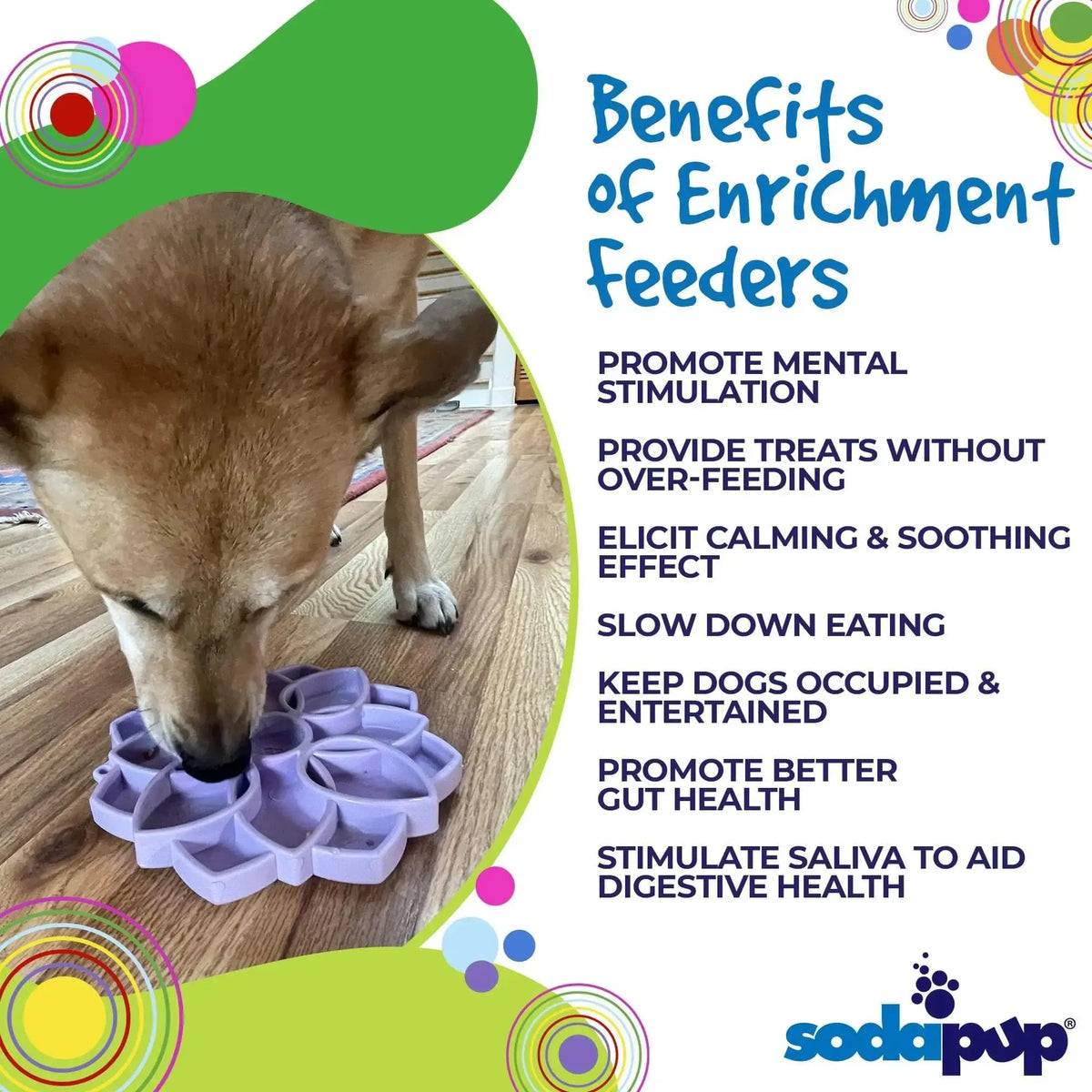Softie Mandala + Suction Cups - eTray Slowfeeder eTray-Slow Feeder-Rover Pet Products
