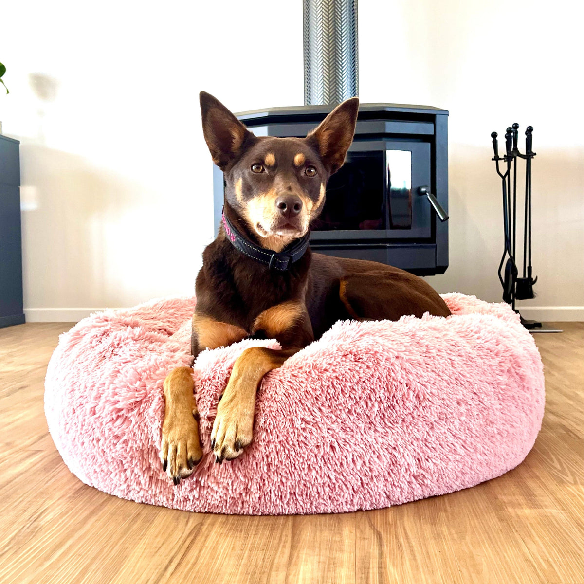 Kloud9 Teddy Extra Cover-Rover Pet Products
