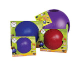 Teaser Ball-Rover Pet Products