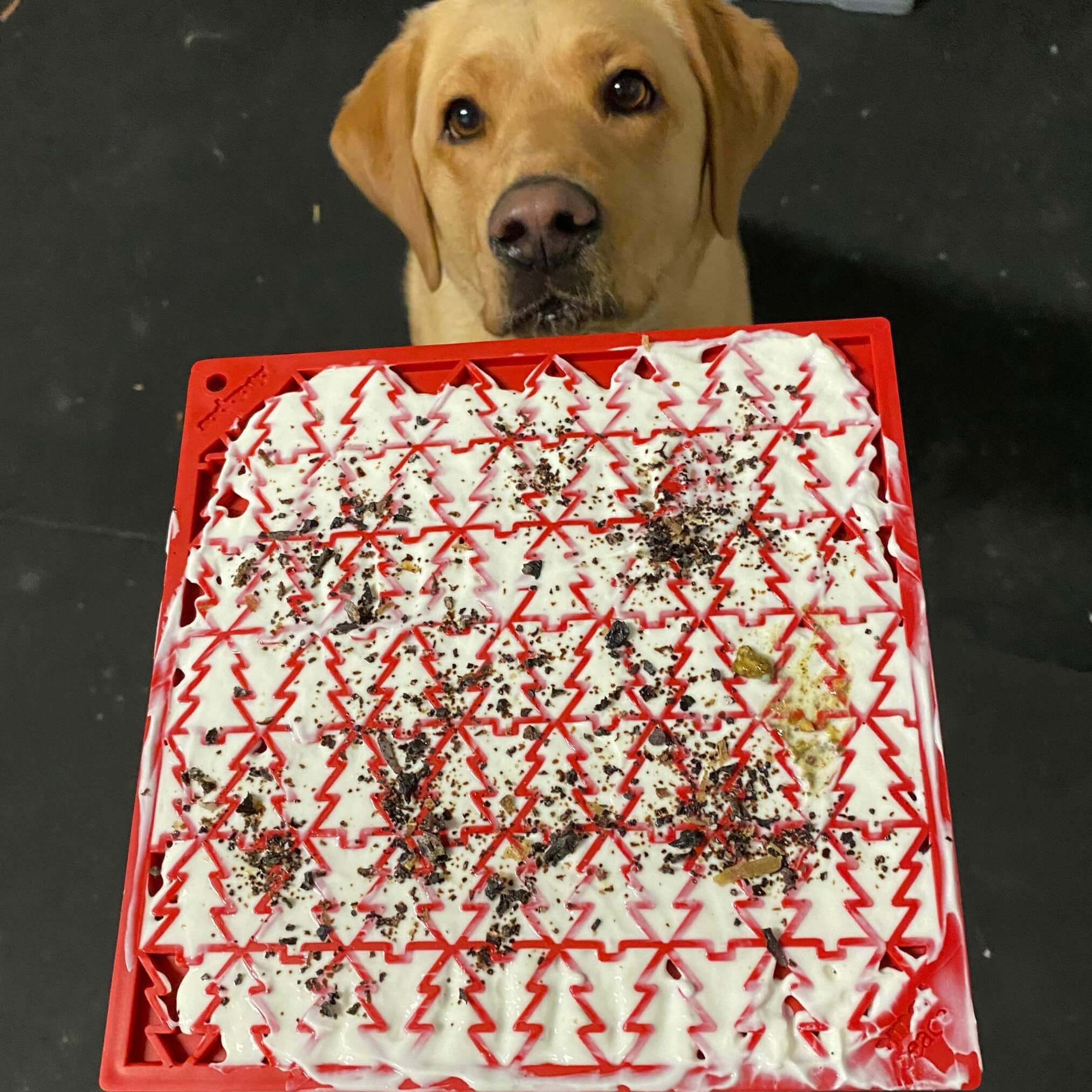 Tree Design "Peace" eMat Enrichment Lick Mat-Slow Feeder-Rover Pet Products