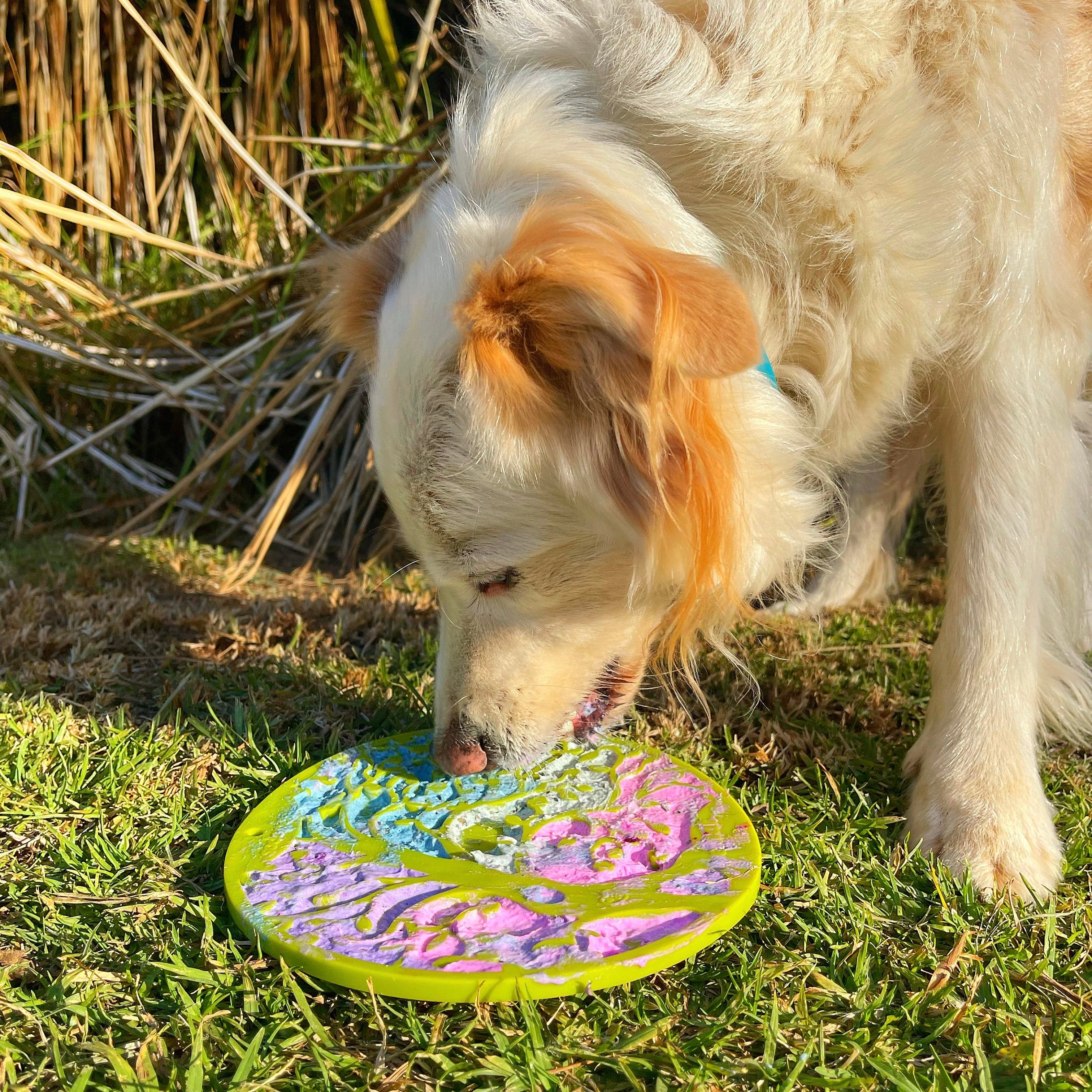 Tree Of Life eMat Enrichment Lick Mat-Slow Feeder-Rover Pet Products