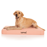 TuffMat! Orthopaedic Dog Bed-Dog Bed-Rover Pet Products