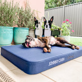 TuffMat! Orthopaedic Dog Bed-Dog Bed-Rover Pet Products