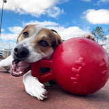 Tug-n-Toss-Rover Pet Products