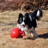 Tug-n-Toss-Rover Pet Products