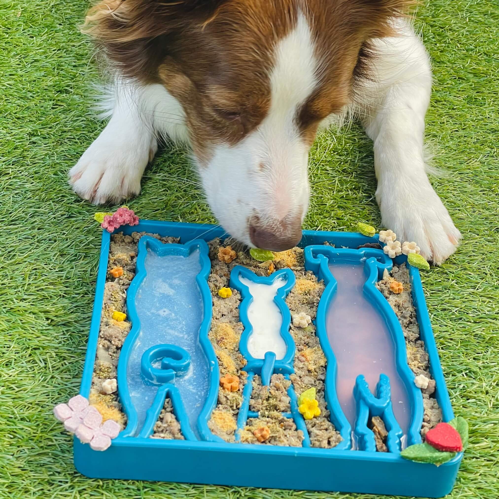 Waiting Slowfeeder eTray-Slow Feeder-Rover Pet Products