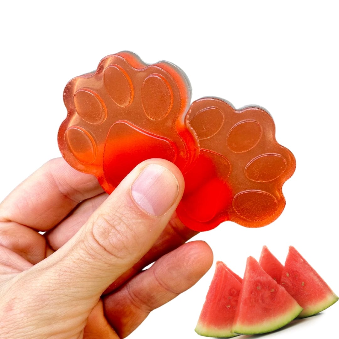 Watermelon Superfood Jelly-Doggy Jelly-Rover Pet Products