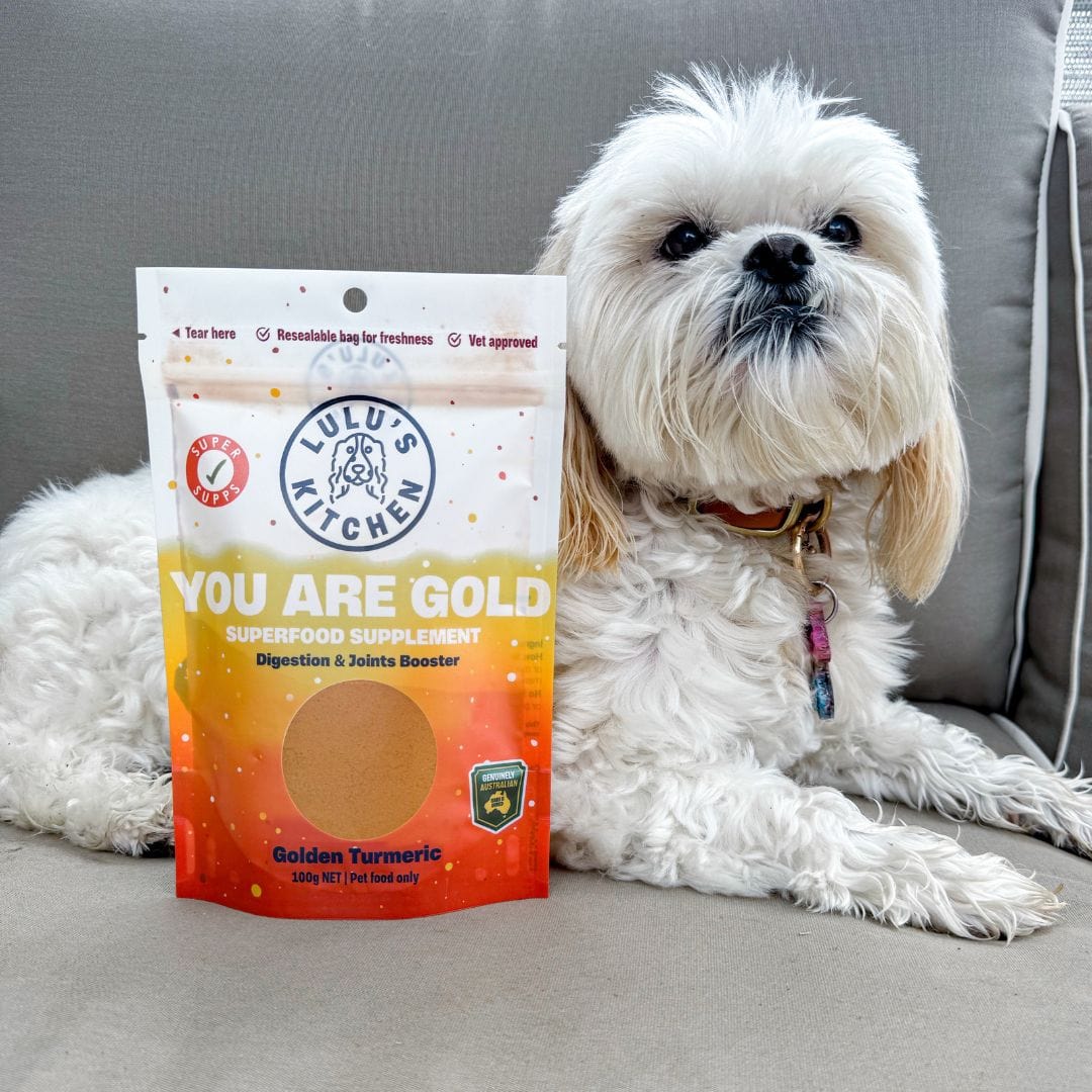 You Are Gold - Digestion & Joints Booster-Rover Pet Products