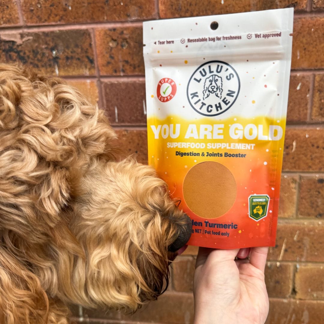 You Are Gold - Digestion & Joints Booster-Rover Pet Products