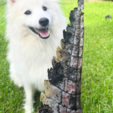 YOU CROC MY WORLD-Dog Treat-Rover Pet Products