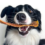 You're Hooked - Fish Fillets-Dog Treat-Rover Pet Products