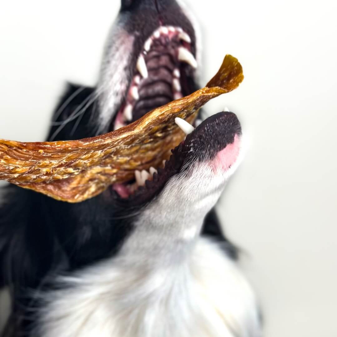 You're Hooked - Fish Fillets-Dog Treat-Rover Pet Products