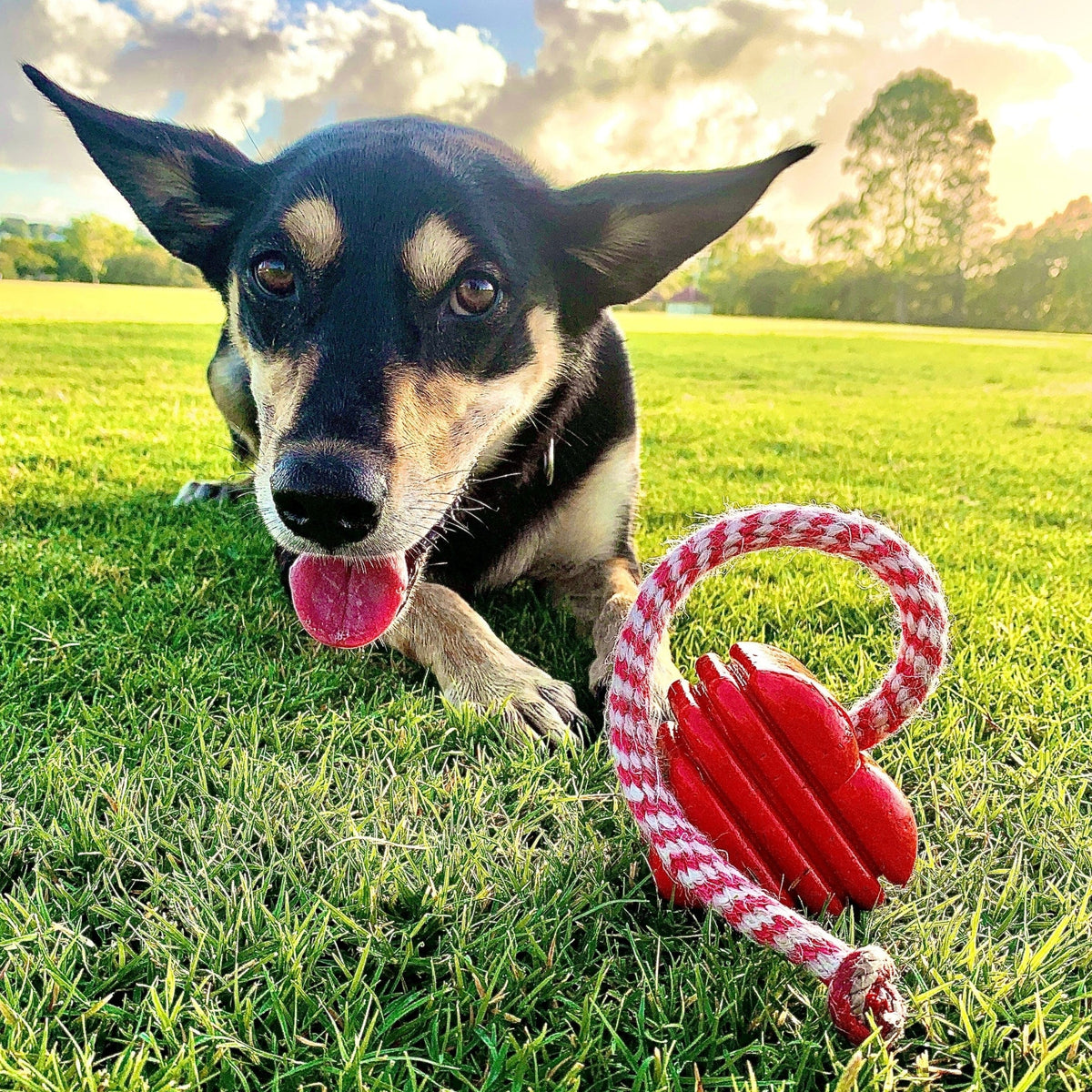 Heart On A String-Dog Toy-Rover Pet Products