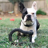 Anchor Shackle Tug Toy-Dog Toy-Rover Pet Products
