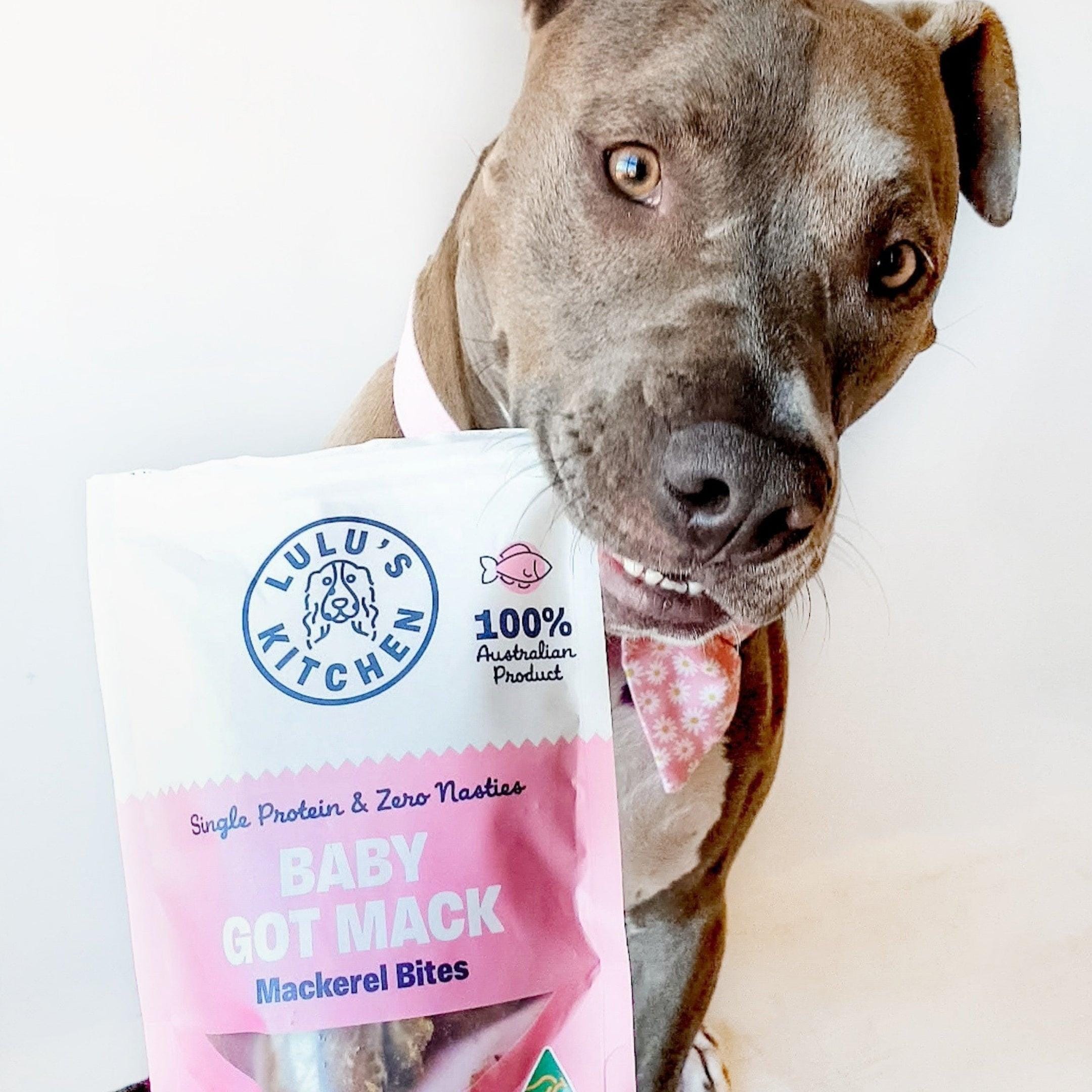 Baby Got Mack - Mackerel Bites-Dog Treat-Rover Pet Products