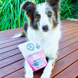 Baby Got Mack - Mackerel Bites-Dog Treat-Rover Pet Products