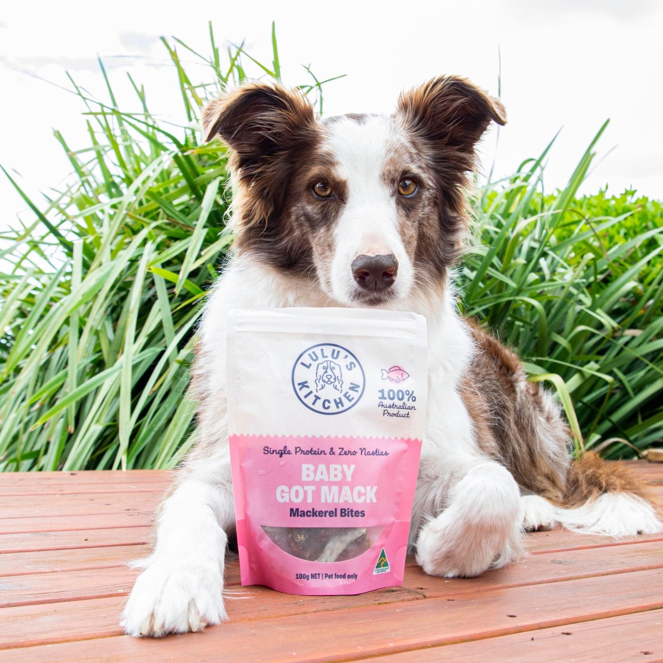 Baby Got Mack - Mackerel Bites-Dog Treat-Rover Pet Products