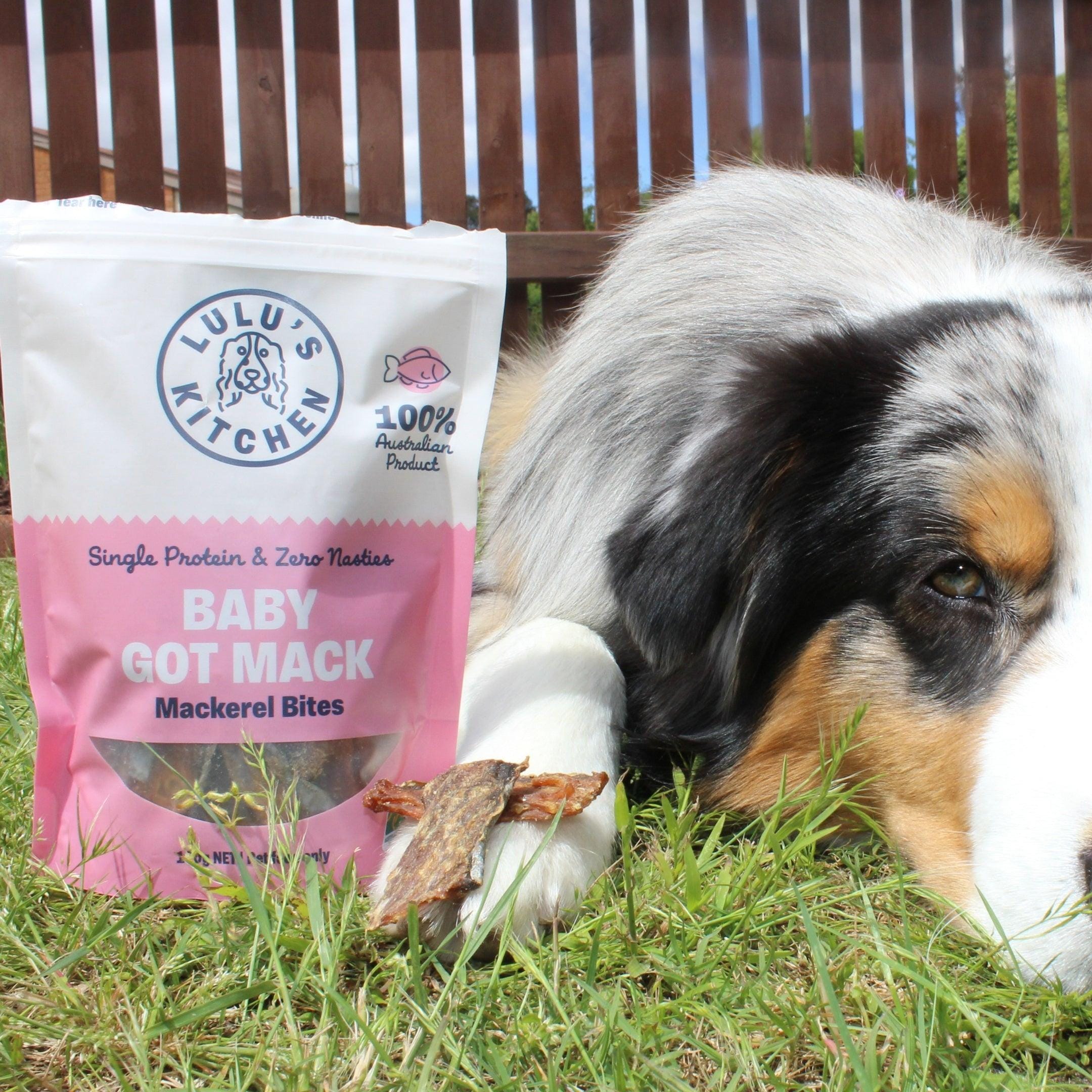 Baby Got Mack - Mackerel Bites-Dog Treat-Rover Pet Products