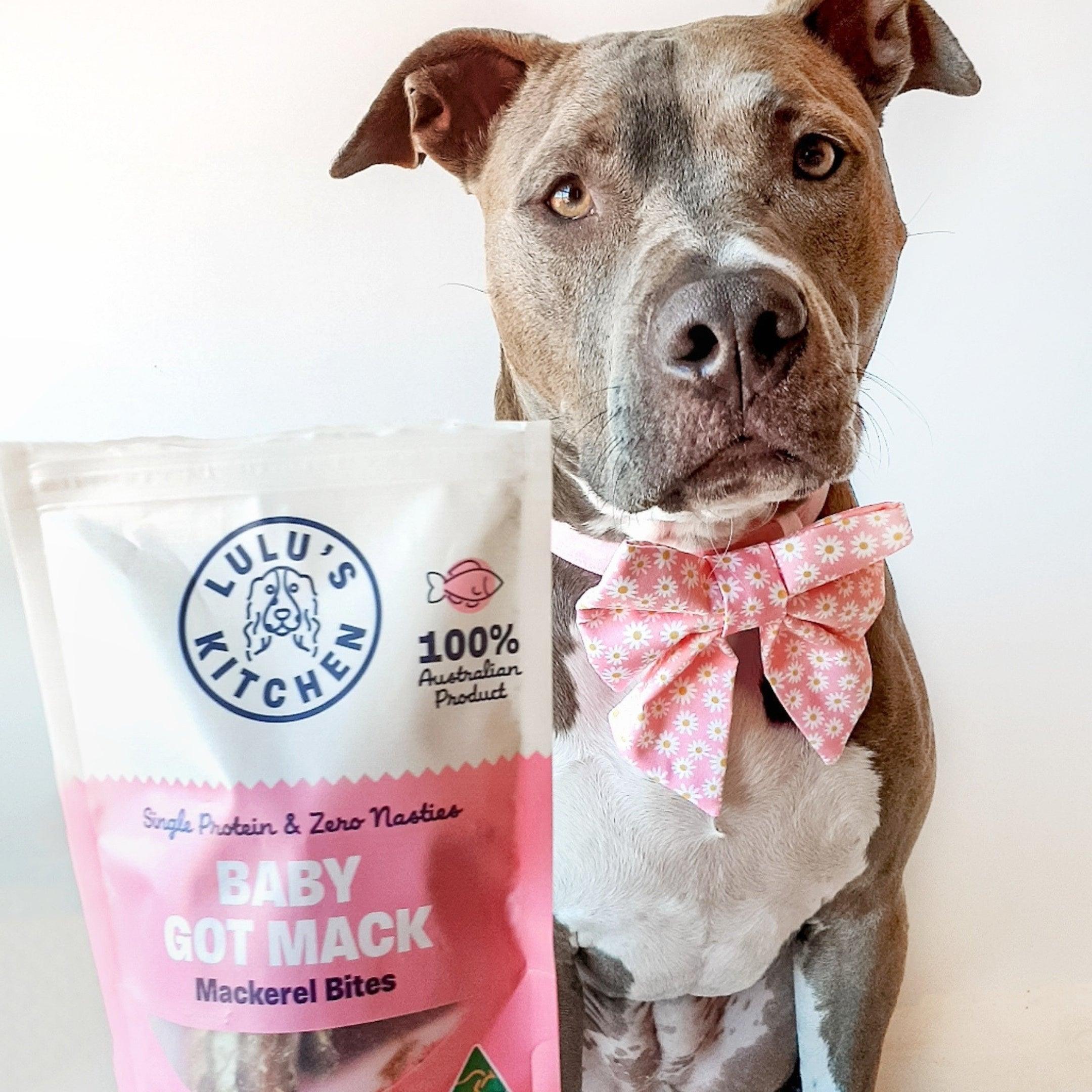 Baby Got Mack - Mackerel Bites-Dog Treat-Rover Pet Products