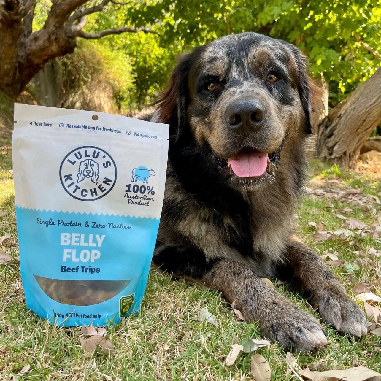 Belly Flop - Beef Tripe - New-Dog Treat-Rover Pet Products
