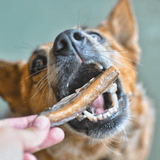 Bite Me! - Bully Bites-Dog Treat-Rover Pet Products