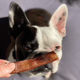 Bite Me! - Bully Bites-Dog Treat-Rover Pet Products