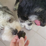 Blueberry & Blue Spirulina Superfood Jelly-Doggy Jelly-Rover Pet Products