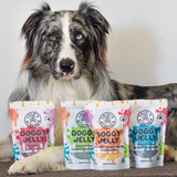 Blueberry & Blue Spirulina Superfood Jelly-Doggy Jelly-Rover Pet Products