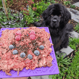 Bones eMat Enrichment Lick Mat-Slow Feeder-Rover Pet Products