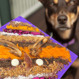 Bones eMat Enrichment Lick Mat-Slow Feeder-Rover Pet Products