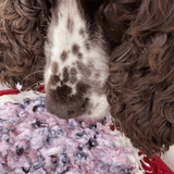 Bones eMat Enrichment Lick Mat-Slow Feeder-Rover Pet Products