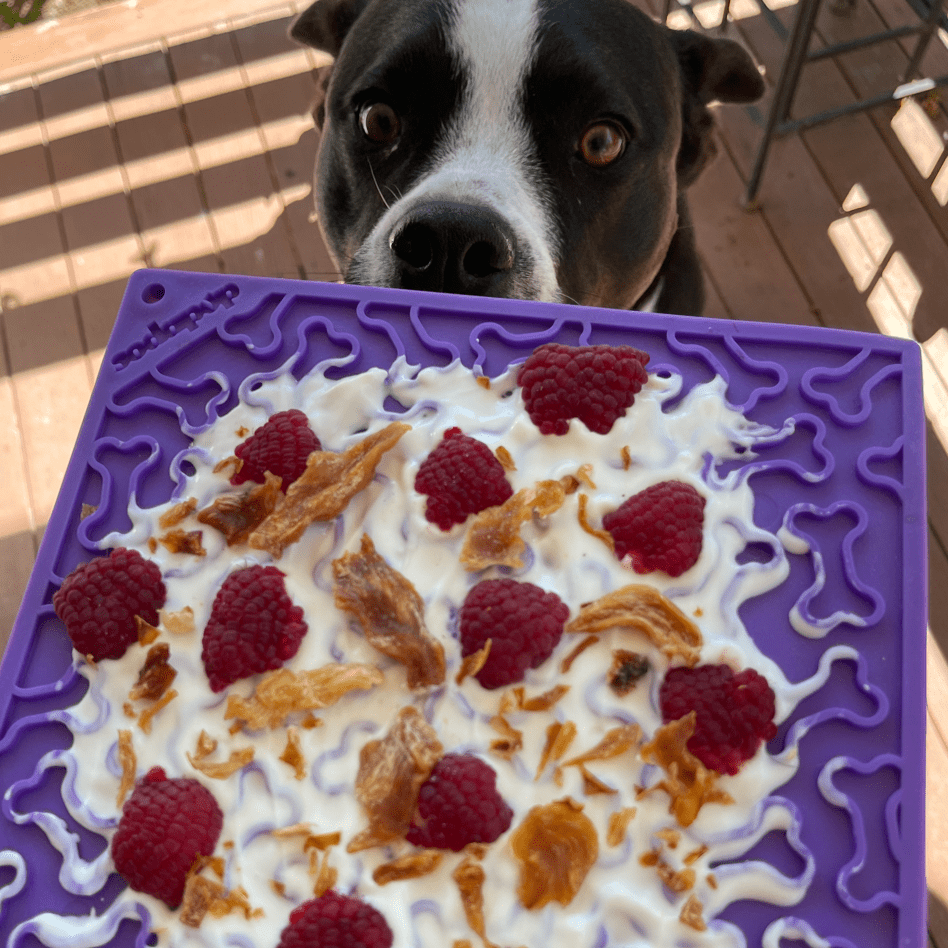 Bones eMat Enrichment Lick Mat-Slow Feeder-Rover Pet Products