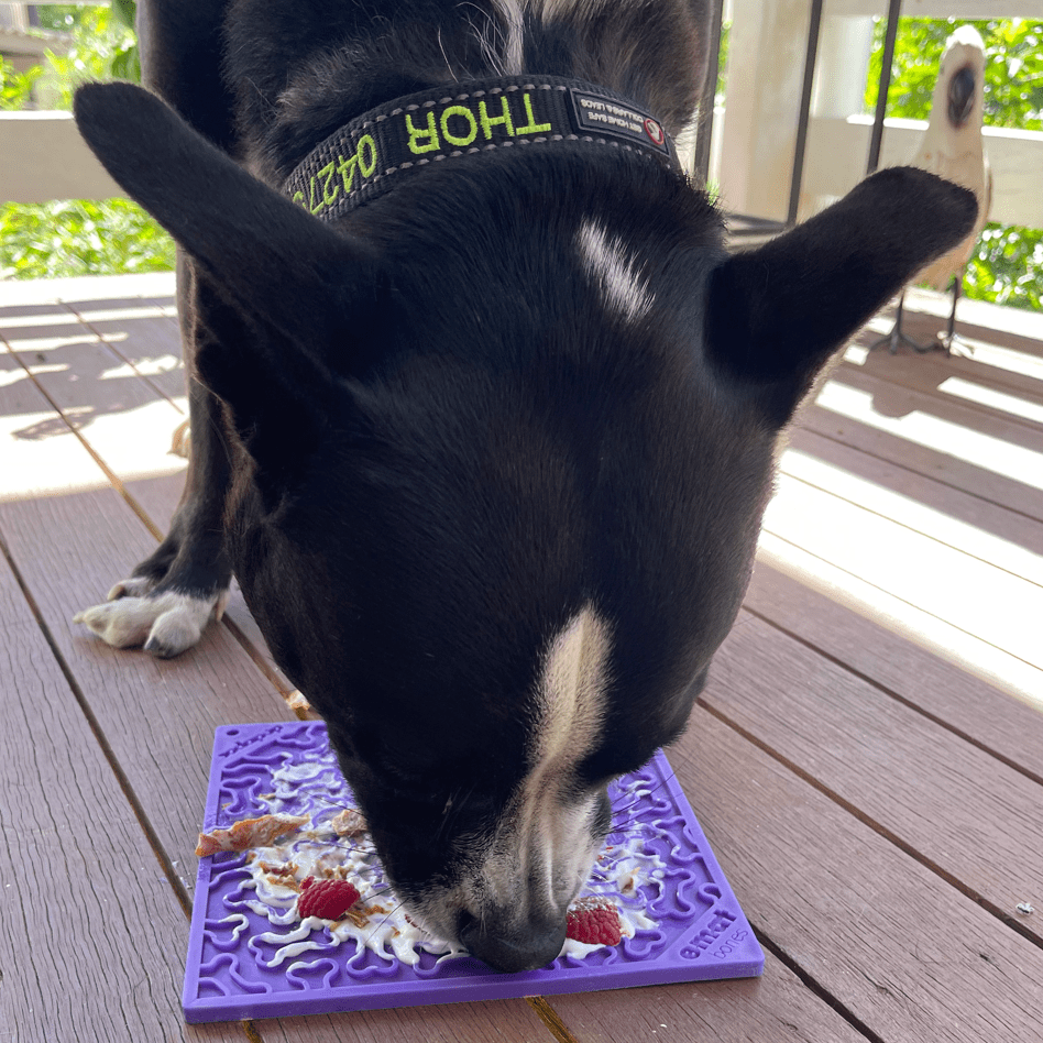 Bones eMat Enrichment Lick Mat-Slow Feeder-Rover Pet Products