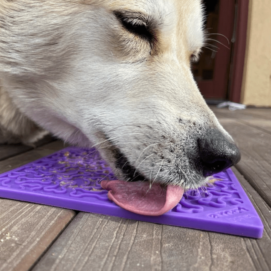 Bones eMat Enrichment Lick Mat-Slow Feeder-Rover Pet Products