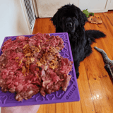 Bones eMat Enrichment Lick Mat-Slow Feeder-Rover Pet Products