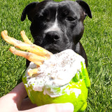 Bullfrog-Dog Toy-Rover Pet Products