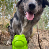 Bullfrog-Dog Toy-Rover Pet Products