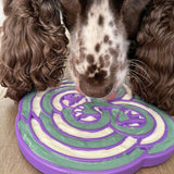 Bullfrog Slowfeeder eTray-Slow Feeder-Rover Pet Products